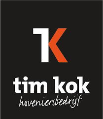 Tim Kok